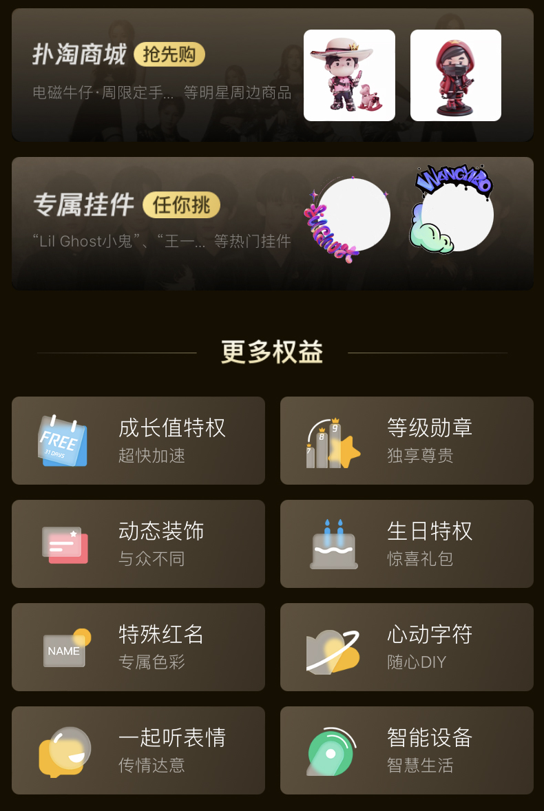 QQ音乐超级会员权益说明 5